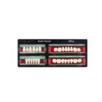 دندان مصنوعی سه پخت گلد کلاسیک Gold Classic 3 Plus با طراحی طبیعی و دوام بالا