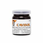 خمیر پانسمان موقت کاویزول گلچای Cavisol
